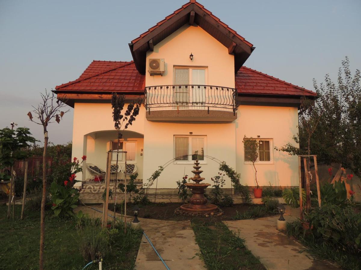 Blue Sky House Balotesti Exterior foto