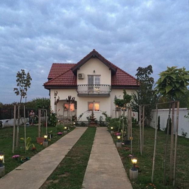 Blue Sky House Balotesti Exterior foto